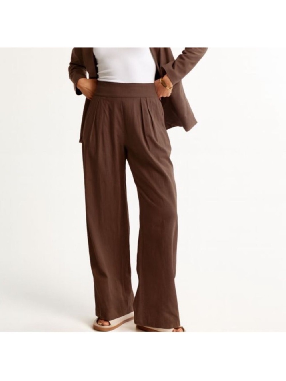 Abercrombie & Fitch Linen Pleated Wide Leg Pants Chocolote  Brown Sz L